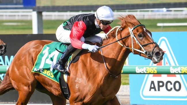 Xtra Gear ridden by Jye McNeil to win at Geelong. Picture: Racing Photos