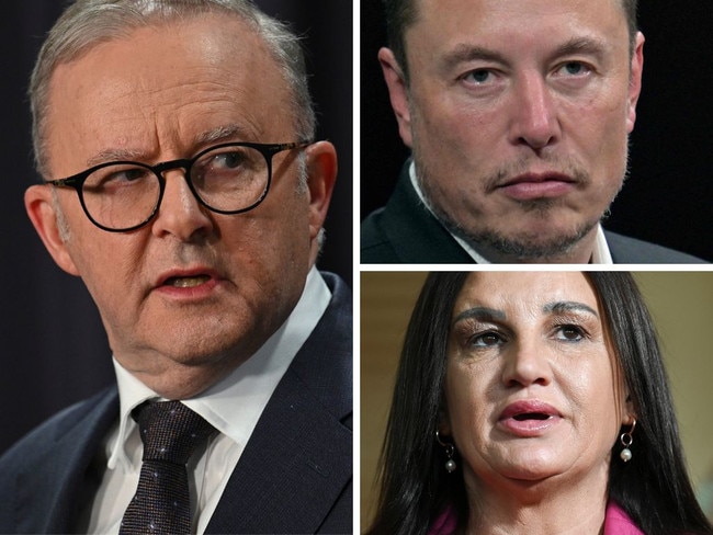 Elon Musk has been branded a “friggin’ disgrace” who “should be jailed” by Tasmanian firebrand Jacqui Lambie.