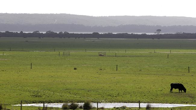 The proposed site of the Robbins Island wind farm development. Picture: Chris Kidd