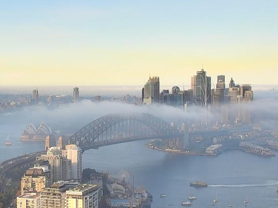 Sydney ferry services resume after being cancelled due to heavy fog
