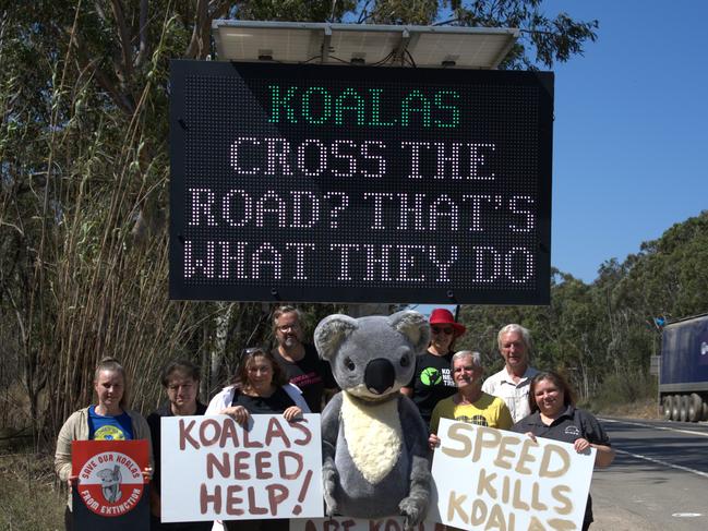 New signs encouraging motorists to watch out for koalas crossing Heathcote Rd will be in be installed ahead of mating season. Picture Supplied