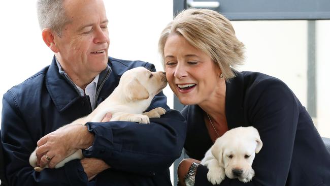 Labor Leader Bill Shorten holding guide dog Bill and Senator Kristina Keneally holding guide dog Beau, while attending Guide Dogs Victoria in Kew, Melbourne. Picture: Liam Kidston