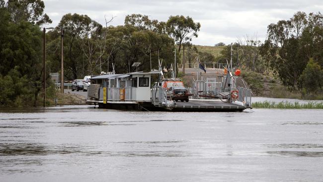 The Waikerie ferry continues to operate across the Murray River, although it was one of five ferries where the risks of floodwaters impacting the roads leading them was high. Picture: Emma Brasier