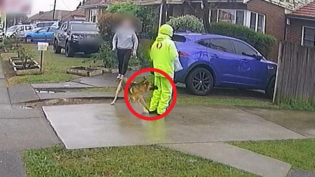 Australia Post boss Paul Graham said rates of dog attacks had gotten “slightly worse”. Picture: Supplied/ Australia Post