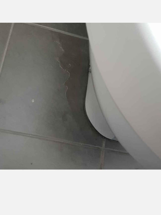 23 McGill Rise – toilet leak