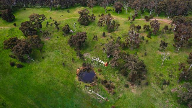 An aerial image showing the site on The Cedars property at Hahndorf where the CABNs will be built. Picture: Supplied