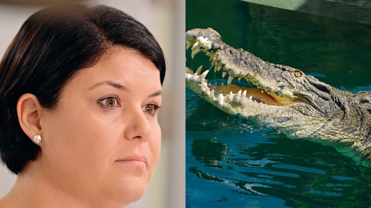  Farming and the Crocodile Industry