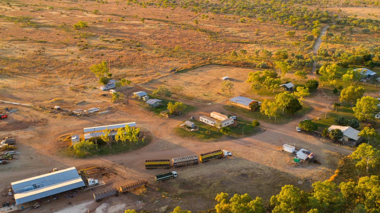 Broome, WA: Kimberley Cattle Portfolio for sale | news.com.au ...