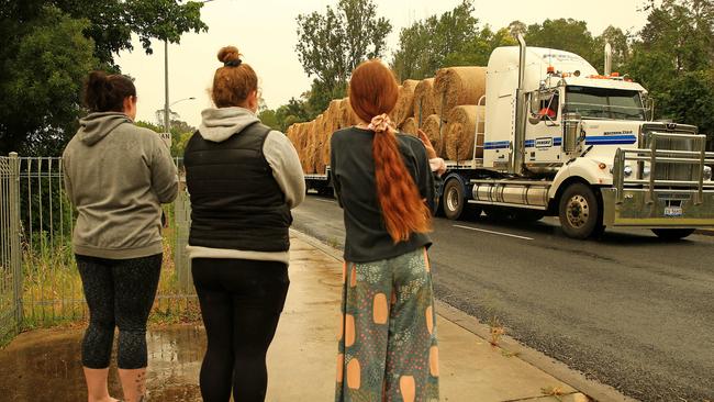 Locals lined the streets to give them a hero’s welcome. Picture: Mark Stewart