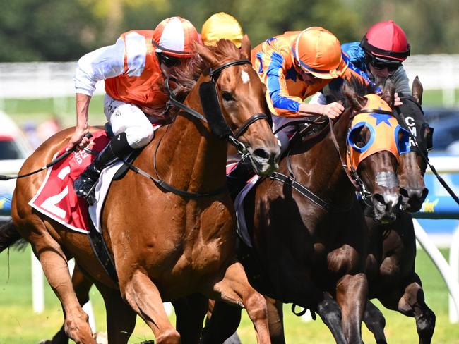 MELBOURNE, AUSTRALIA - FEBRUARY 24: Michael Dee riding Campionessa defeats Billy Egan riding Vow and Declare and Gold Trip (L) in Race 6, the Carlton Draught Peter Young Stakes, during Melbourne Racing at Caulfield Racecourse on February 24, 2024 in Melbourne, Australia. (Photo by Vince Caligiuri/Getty Images)