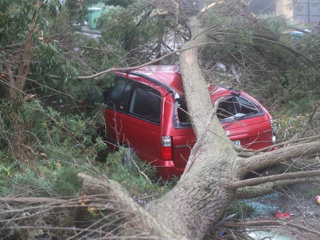 House roofs and cars were smashed by falling trees and wind gusts of more than 100km/h last week. Picture: NCA NewsWire / David Crosling