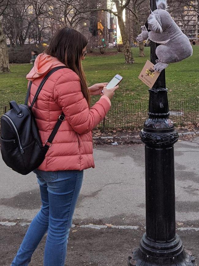 A small army of plush koalas have popped up across New York City. Picture: Instagram