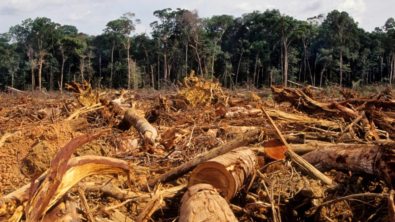 Great Barrier Reef threatened by deforestation plans