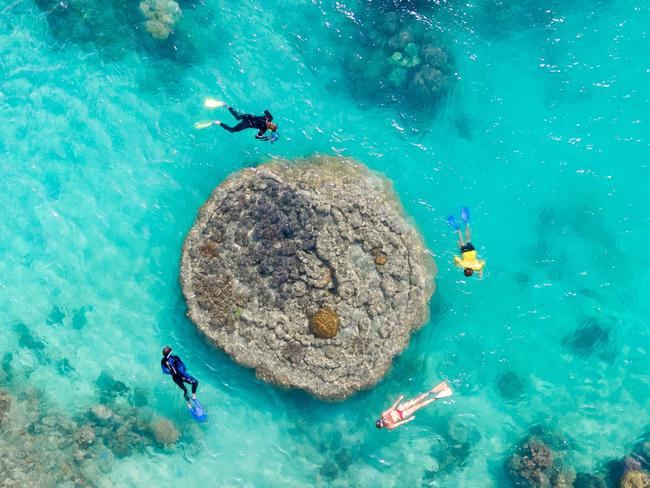 Ocean Rafting Whitsundays Southern Exposure tour