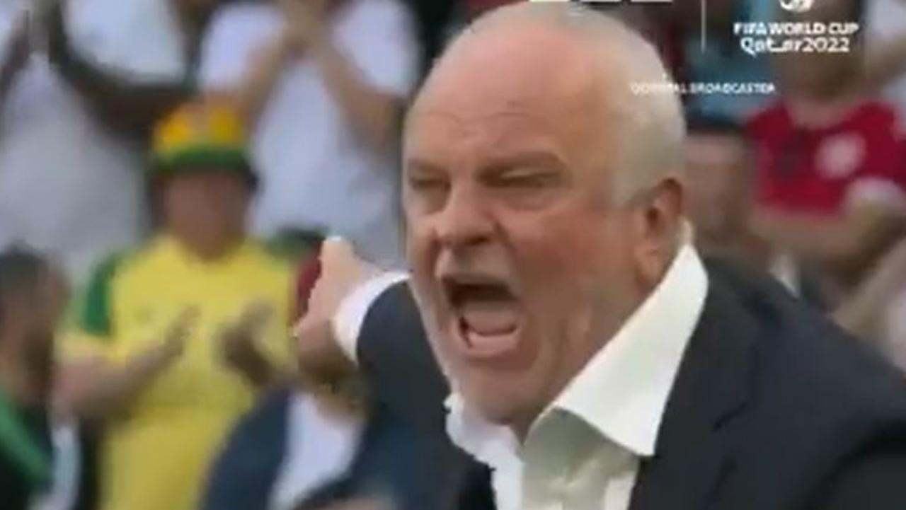 Graham Arnold demanded Mat Ryan join in the celebrations after Mitchell Duke's goal. Picture: BBC