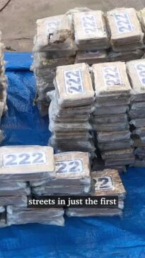 Queensland cocaine seizures hit all-time high