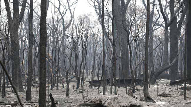 Scorched earth that goes on for kilometres near Genoa. Picture: David Caird