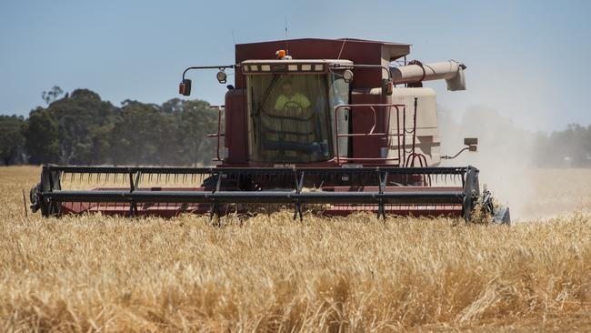 Viterra has been accused of buying lower grade barley to malt at its former Joe White Malting plant but doctoring analysis certification. Picture: Zoe Phillips
