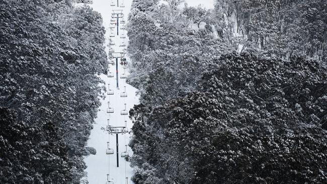 Heavy snow at Mt Buller. Conditions this ski season have been described as some of the best in recent memory.