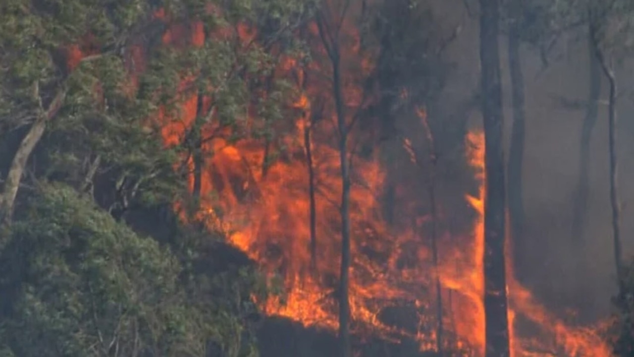 The fire at the Otways near Gellibrand in Victoria on Saturday. Picture: Nine News