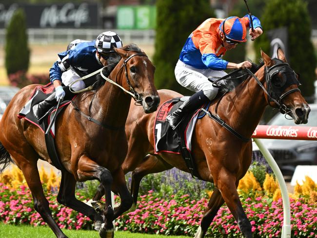 MELBOURNE, AUSTRALIA - MARCH 23: Thomas Stockdale riding Vibrant Sun defeats Michael Dee riding Grinzinger Belle (r) in Race 6, the Dynamic Print Group Alexandra Stakes, during Melbourne Racing at Moonee Valley Racecourse on March 23, 2024 in Melbourne, Australia. (Photo by Vince Caligiuri/Getty Images)