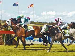 Jasen Watkins takes Ravendra to a win in the Entires and Geldings Maiden Plate (1300m), the second race in the Lennox Head Cup day. Picture: Jay Cronan
