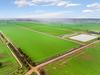 Riverina feedlot owners snap up NSW cropping farm at auction