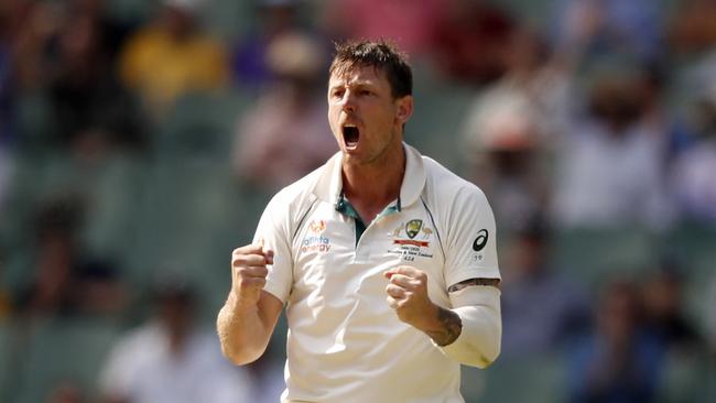 Pattinson celebrates a wicket in one of his 21 Tests. (Photo by Darrian Traynor/Getty Images)