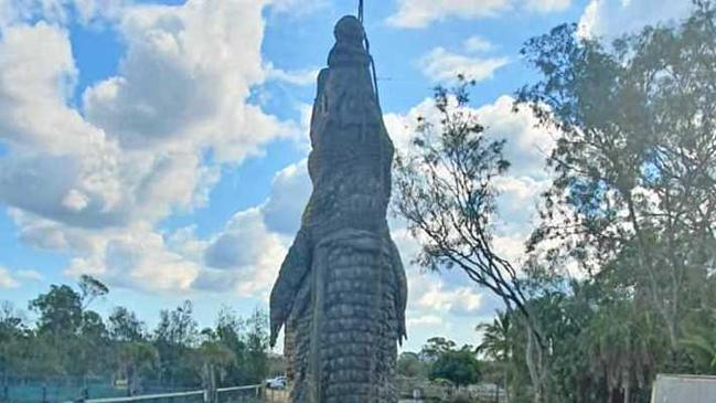 Koorana Crocodile Farm found an orthopedic plate in the contents of their croc MJ&#39;s stomach. Picture: Koorana Crocodile Farm