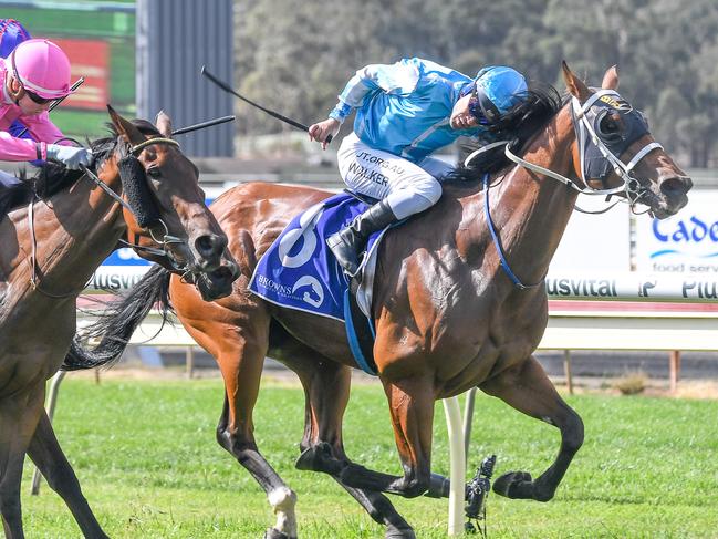 Snogging proves too strong in the Bendigo Gold Bracelet.