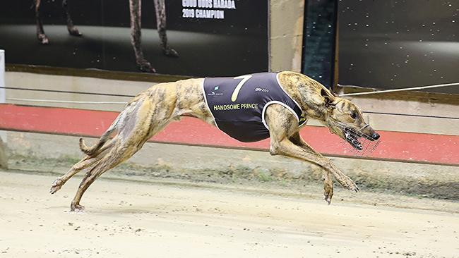 Handsome Prince takes out the Million Dollar Chase last October. Source: Supplied