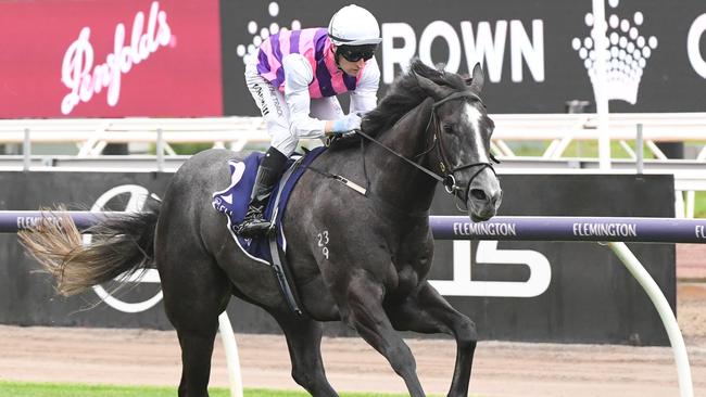 Sghirripa winning the Standish Handicap at Flemington. Picture: Brett Holburt/Racing Photos