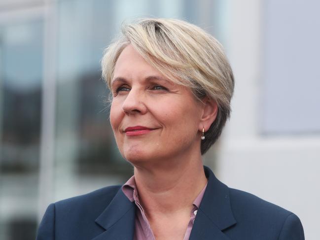 Environment Minister Tanya Plibersek.  Prime Minister Anthony Albanese in Hobart in relation to $188 million funding for Macquarie Wharf.  Picture: Nikki Davis-Jones