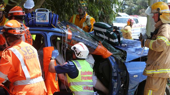 Driver freed after veering off Bellarine Highway and smashing into tree