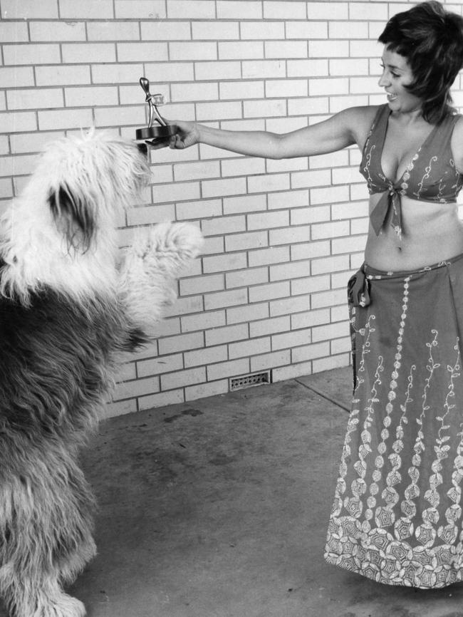 1973: Wills showing her TV Week Logie Award trophy to her Old English sheepdog, Cooper. February, 1973. Photo: News Corp.