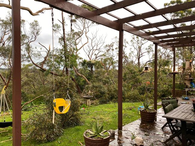 Large numbers of threes were torn up within minutes as the storm carved a path of destruction through Upper Sturt in the Adelaide Hills. Picture: Supplied