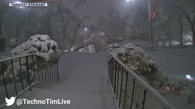 Massive tree crashes to ground in south Minneapolis