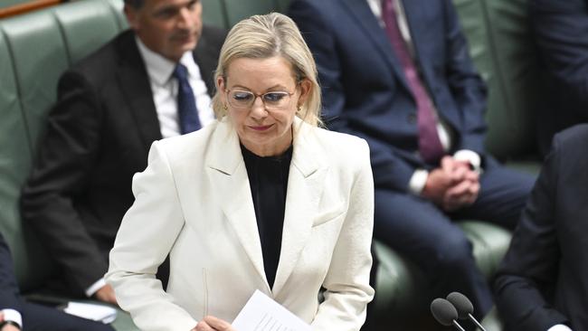 Deputy Leader of the Opposition Sussan Ley pointed the finger of blame at the government’s economic management. Picture: NewsWire / Martin Ollman