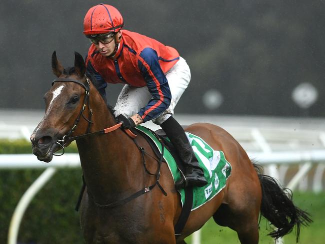 Jockey Jason Collett rides Miss Einstein to victory in Race 5, the TAB Handicap, during Warwick Farm Race Day at Warwick Farm Racecourse in Sydney, Wednesday, September 18, 2019. (AAP Image/Joel Carrett) NO ARCHIVING, EDITORIAL USE ONLY