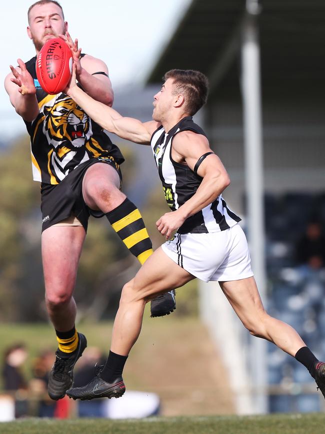 Marcus Gardner attempts to mark in front of Glenorchy’s Nick Reibelt. Picture: Nikki Davis-Jones