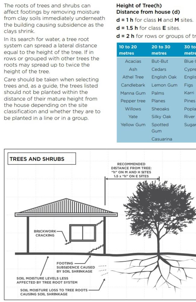 QBCC guidelines recommend planting casuarina trees between 20 and 30m from homes to avoid structural damage.