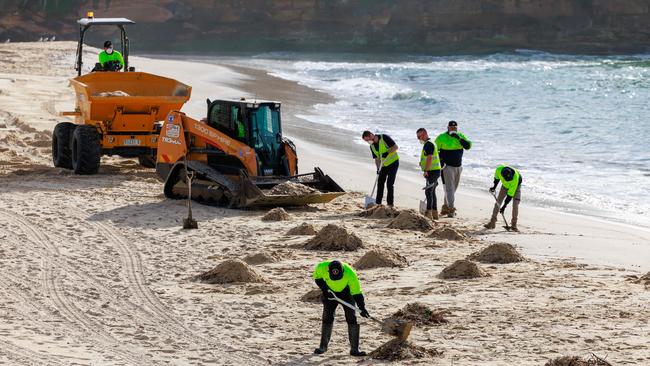 Workers clean up Coogee Beach on Wednesday. Picture: Justin Lloyd