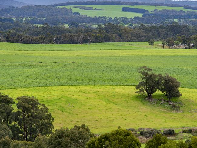 FOCUS DAIRY Matt and Alli ReidMatt and Alli Reid on their farm at Carlisle RiverPictured: Generic dairy farm. Rural Landscape.PICTURE: ZOE PHILLIPS