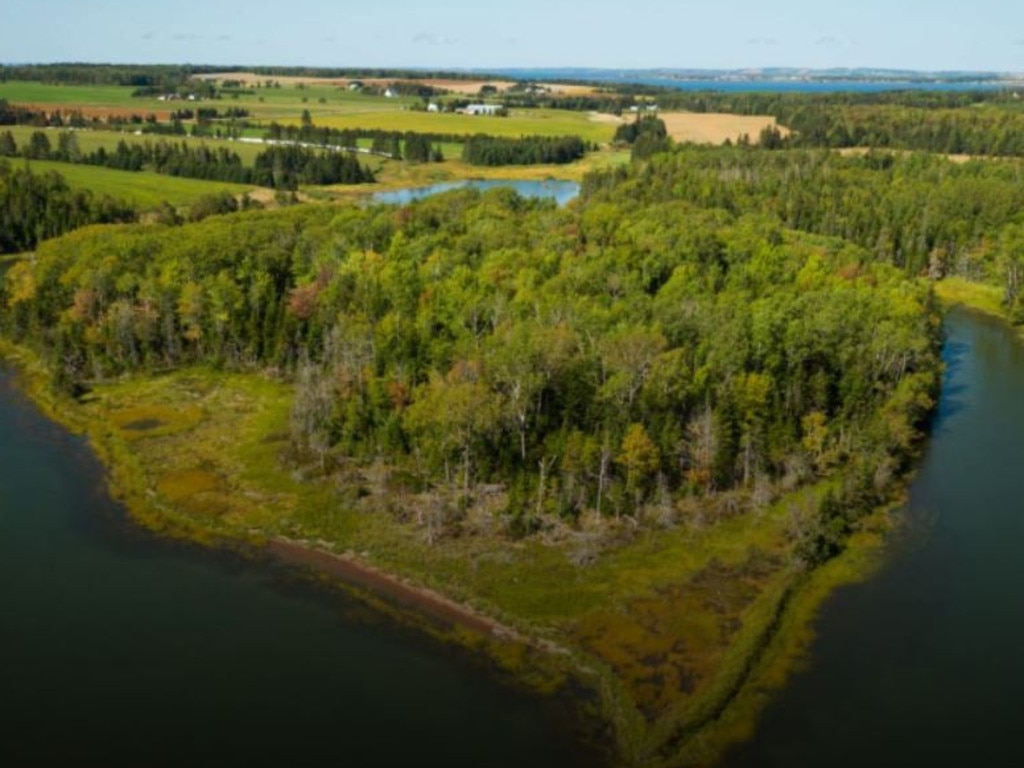 Gillis Island, Canada. Picture: Evoluted