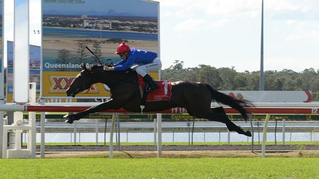 Blake Shinn hangs on grimly as Reneged takes a leap at the Sunshine Coast. Picture: Grant Peters @Trackside Photography