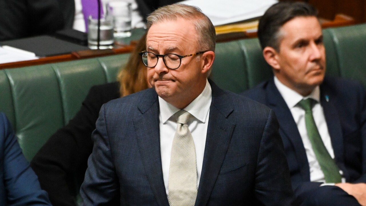 Albanese ‘dodging questions’ about the Voice in Question Time