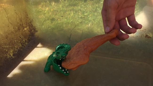 Crocodile feeding at the “zoo” in Bald Hills.