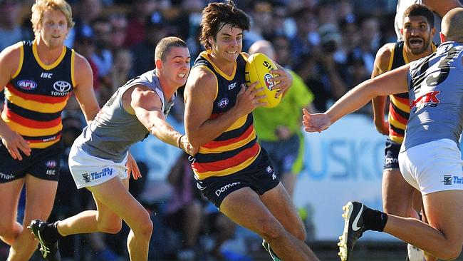 Darcy Fogarty impressed during the JLT Series. Picture: Getty Images