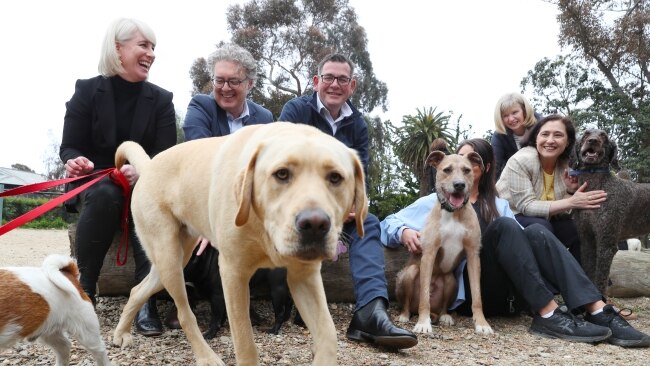 Australia’s first pet census to take place in Victoria as Andrews govt ...