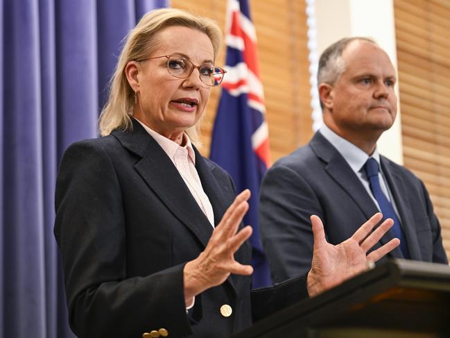 Liberal Party leader Sussan Ley and deputy leader Ted O'Brien. Picture: NewsWire / Martin Ollman